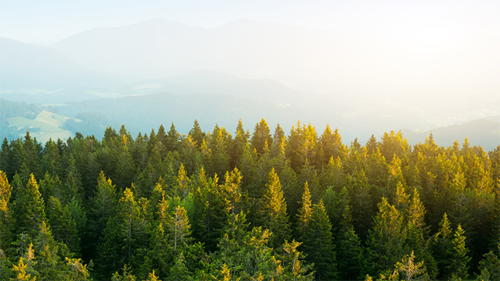 9999js金沙老品牌(中国游)官方网站