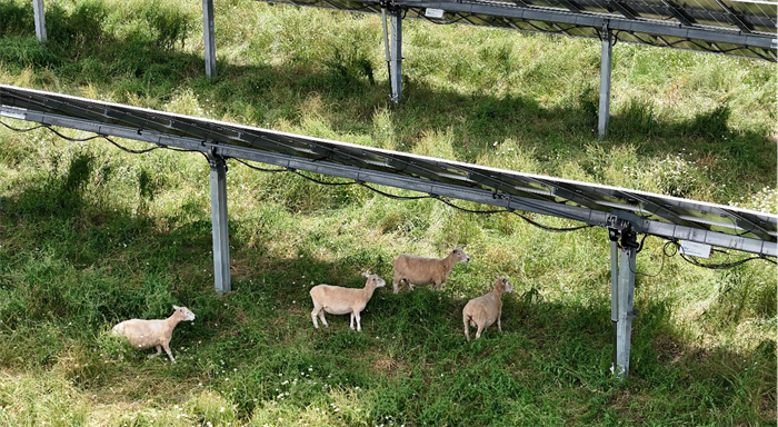 9999js金沙老品牌(中国游)官方网站