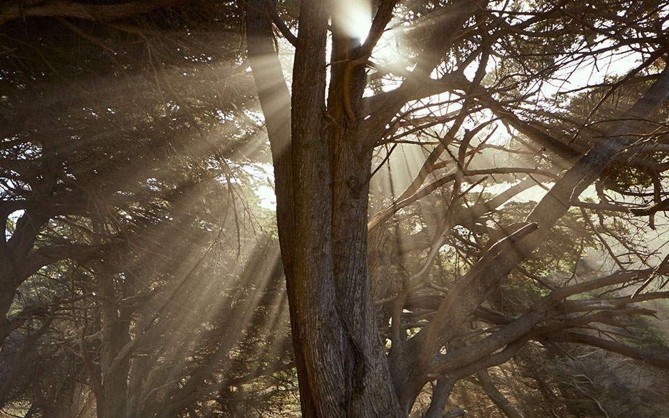 9999js金沙老品牌(中国游)官方网站