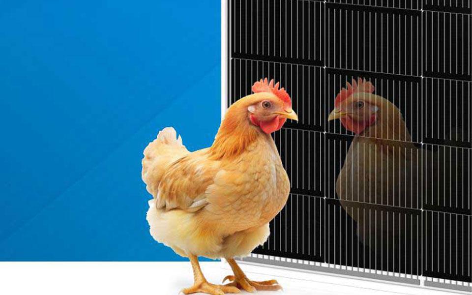 9999js金沙老品牌(中国游)官方网站